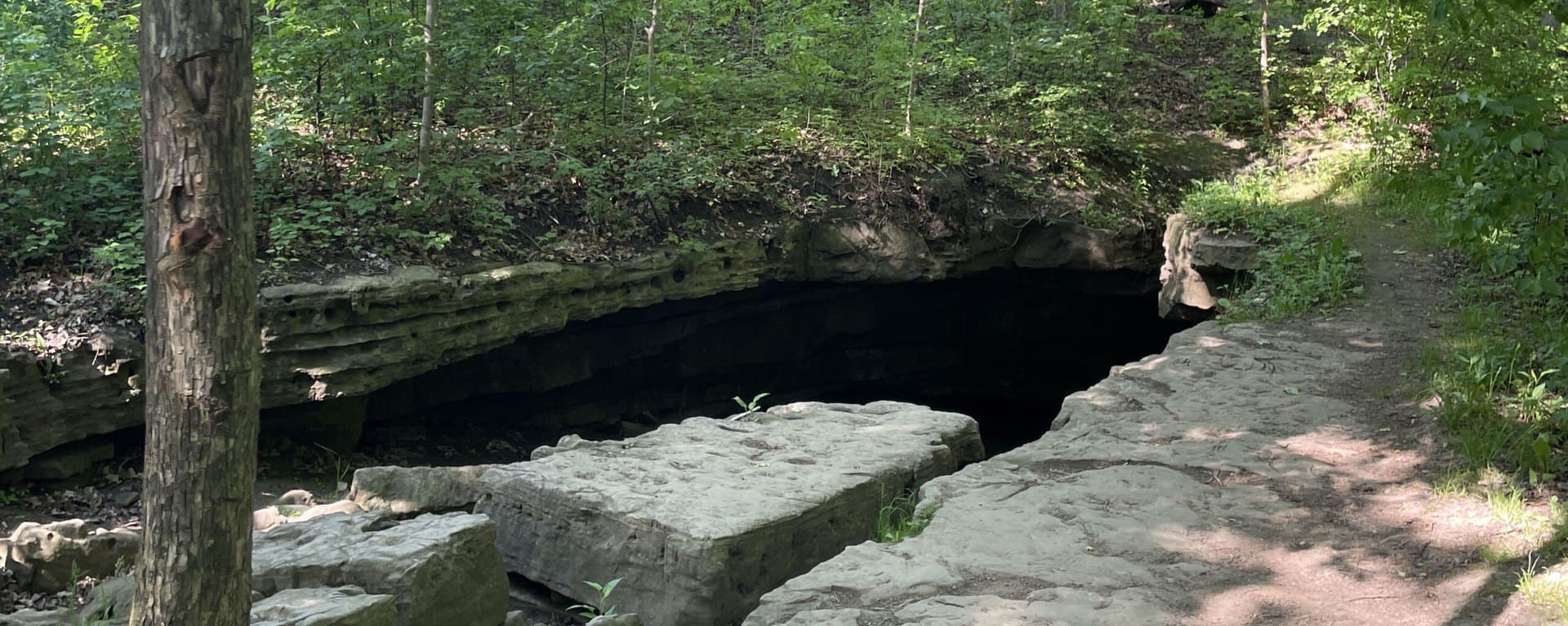 Stoney Creek Trails